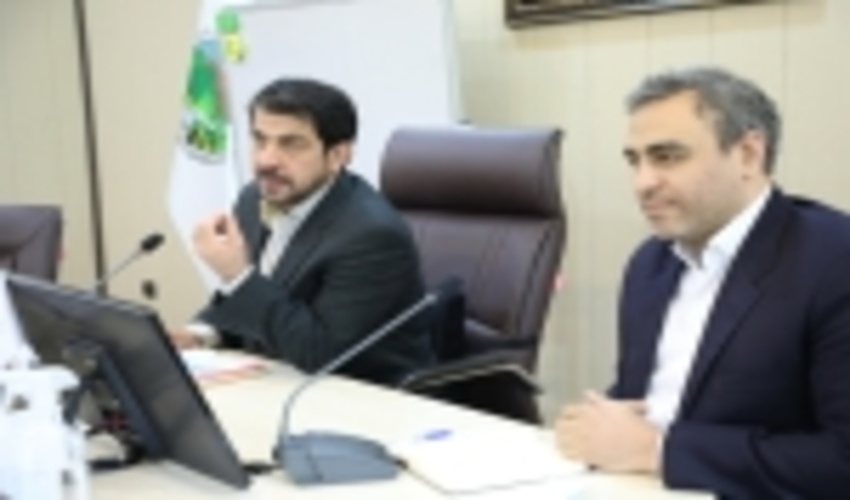 هدف‌گذاری سازمان جنگل‌ها برای جهش در استحصال و کشت زراعت چوب در سال جهش تولید