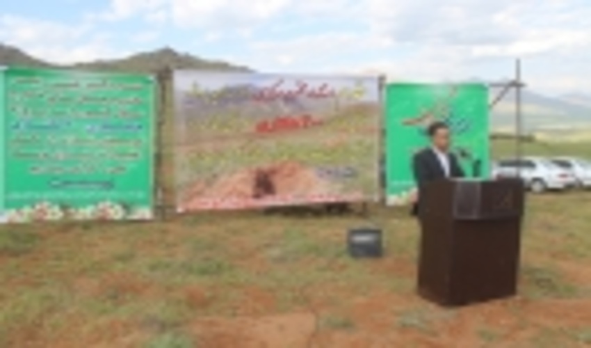 انجام یک هزار و ۸۰۰ هکتار جنگل‌کاری در استان مرکزی