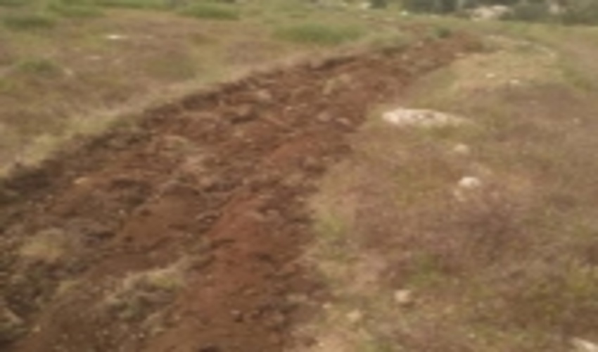 احداث 10 کیلومتر آتش بر در منطقه حساس به آتش‌سوزی کوه تودج استهبان