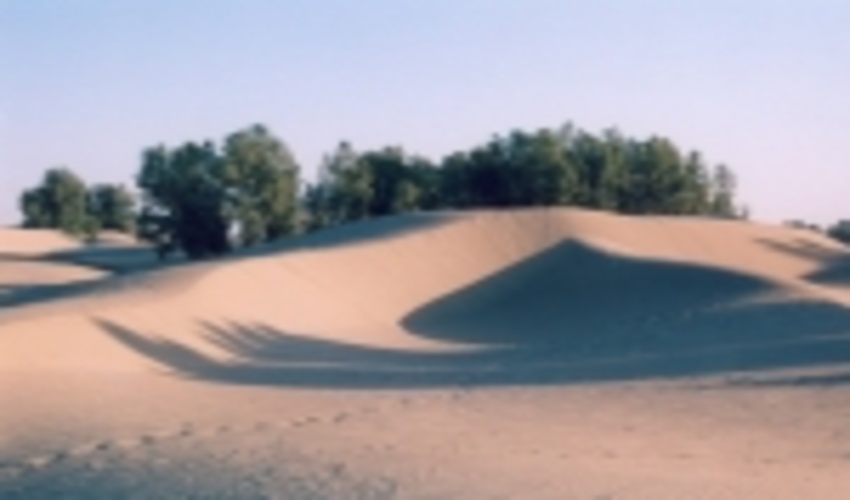 فراخوان سازمان جنگل‌ها برای جایگزینی مالچ پاشی ‏