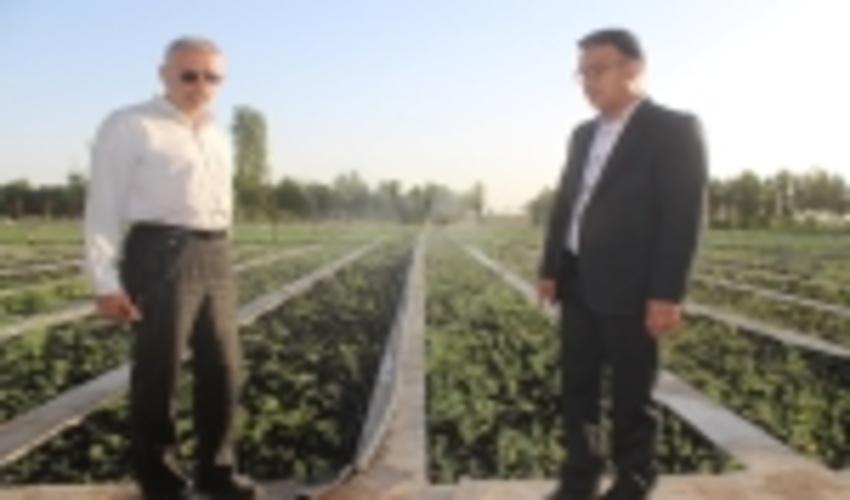 بازدید دست اندرکاران جنگل از طرح‌های جنگل کاری، نهالستان و پارک آبخیز استان مرکزی