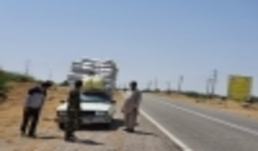 ایجاد گشت های منظم جهت کنترل مبادی قاچاق آویشن در میناب