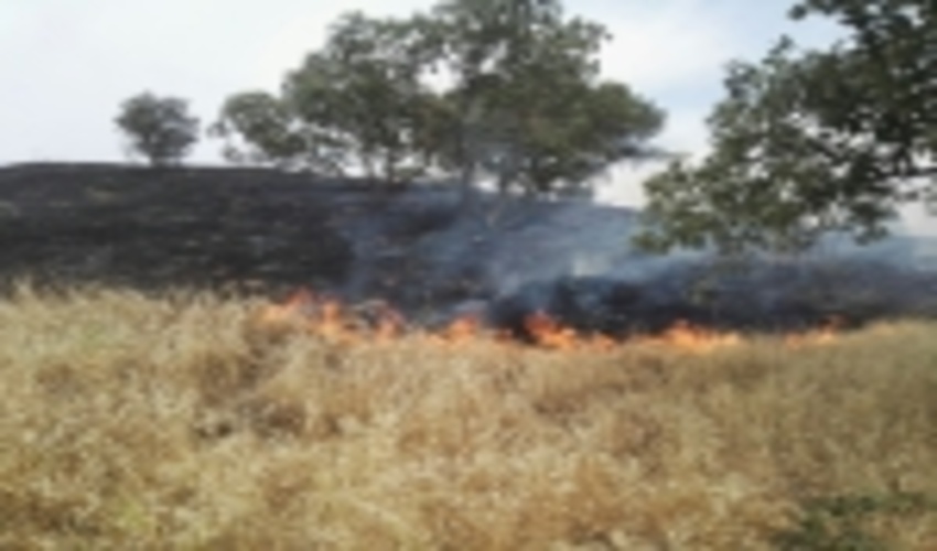 یزد/ پیشگیری از آتش‌سوزی مراتع با مشارکت مردم امکان‌پذیر است