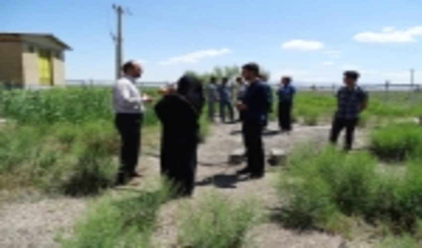 بازدید خبرنگاران آذربایجان‌غربی از طرح‌های مقابله با بیابانزایی اداره کل منابع طبیعی استان