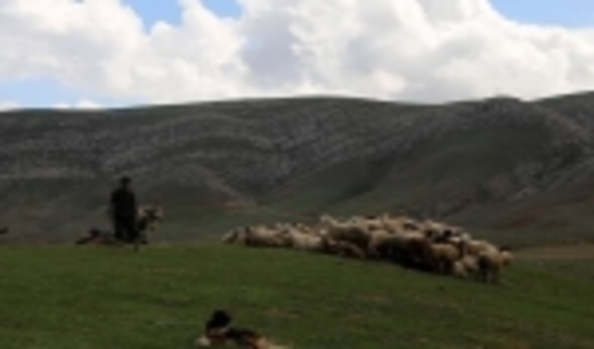 واگذاری مراتع فاروج به دامداران آتش‌سوزی‌ها را به صفر رساند