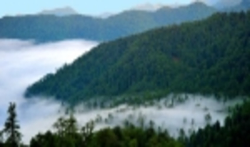 طرح مدیریت پایدار منابع طبیعی منطقه هیرکانی برای صیانت از مراتع و جنگل‌ها