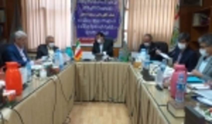 امسال ۳۰ هزار هکتار اراضی ملی زیر کشت زراعت چوب می‌رود