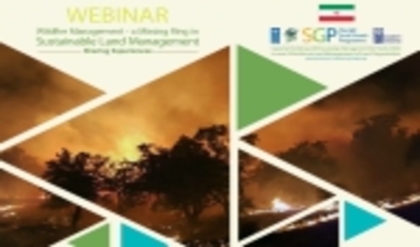 برگزاری وبینار تخصصی مدیریت حریق