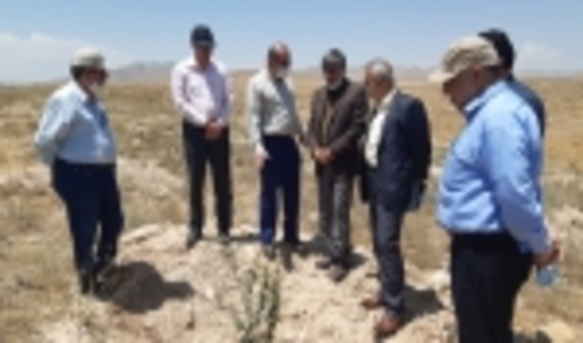 بازدید معاون امور جنگل و رییس مرکز جنگل های خارج از شمال از مراکز تولید نهال استان قزوین