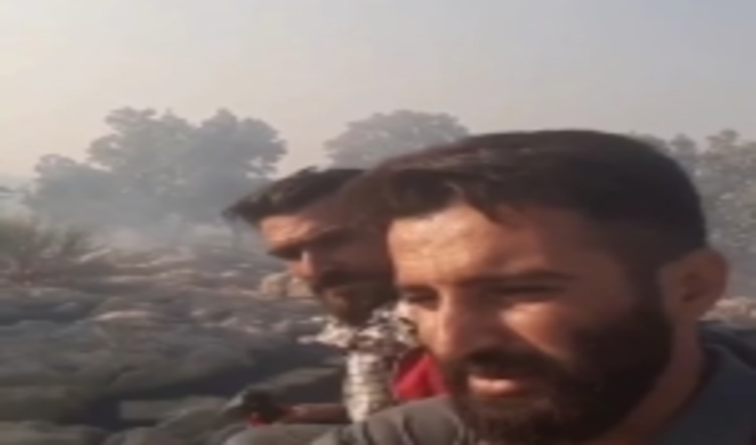 روشنگری در پی انتشار ویدیوی گلایه دو نفرتحت عنوان جنگلبان در فضای مجازی 