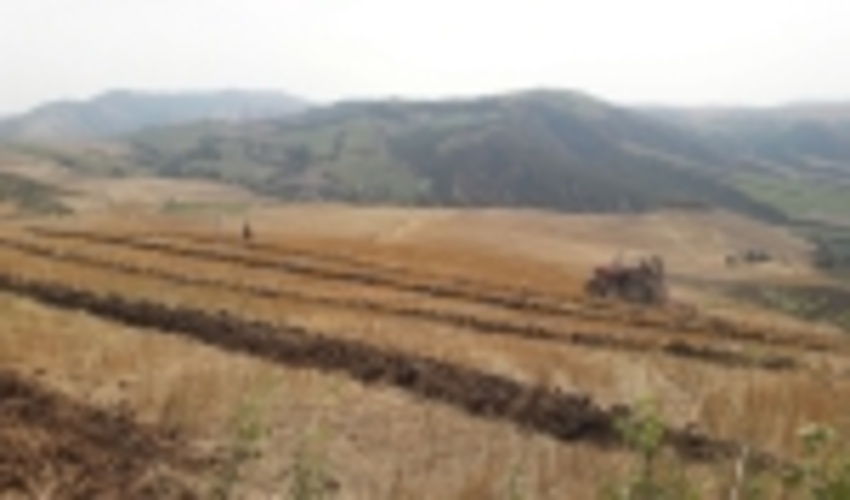 خلع ید و اجرای عملیات فارو به مساحت 14 هزار متر مربع در شهرستان مراوه تپه