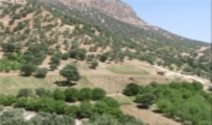 تصویب ۵۰۰ میلیون تومان اعتبار برای منابع طبیعی درمیان