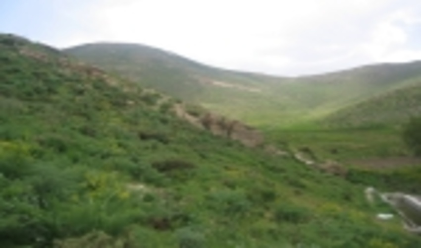 اصلاحیه شیوه نامه فنی و اجرایی بهره برداري از مراتع کشور ابلاغ شد