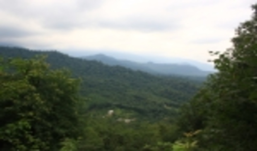 چرا جنگلها و مراتع و قله ها وقف شدنی نیستند؟