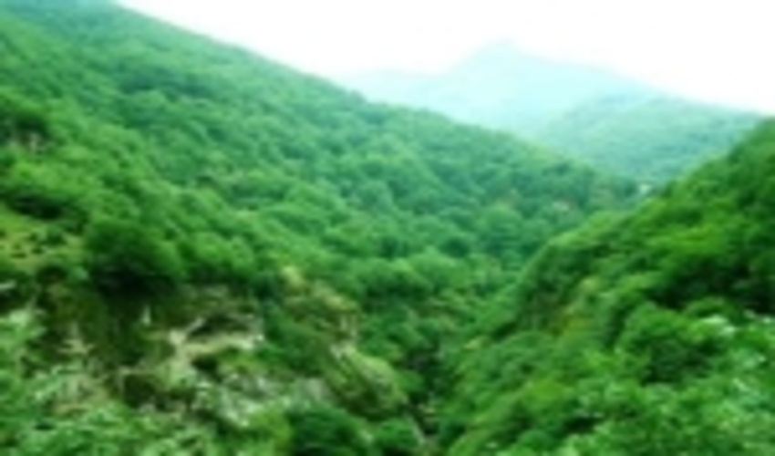 غنی‌سازی ۱۸۲ هکتار جنگل‌های هیرکانی خراسان شمالی 