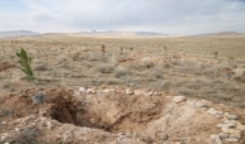 جنوب کرمان/۵۱ طرح منابع طبیعی در جنوب کرمان به بهره‌برداری می‌رسد