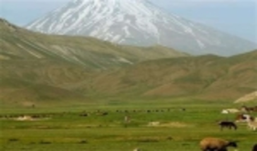 احاله مدیریت 36 هزار و 196هکتار مراتع خراسان شمالی به بهره‌برداران در سال جاری