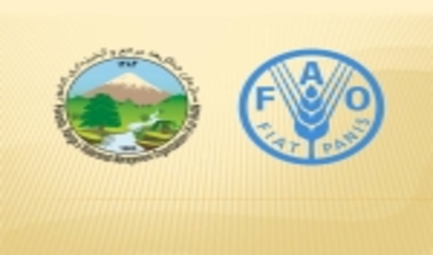 FRWO and FAO Sign MoU on Combat SDSs