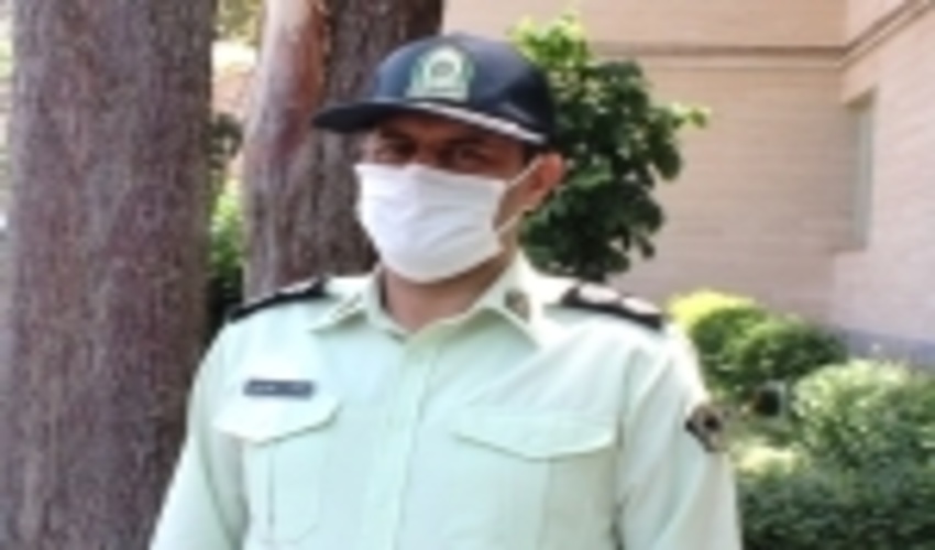 زنجان/کشفیات قاچاق چوب در سال گذشته 25 درصد افزایش یافت