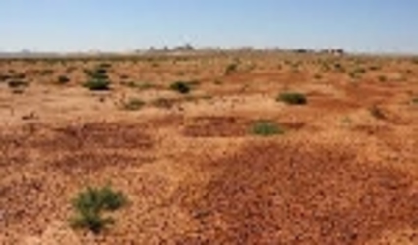 ۱۰۰میلیون هکتار از عرصه‌های کشور تحت تاثیر بیابانی شدن