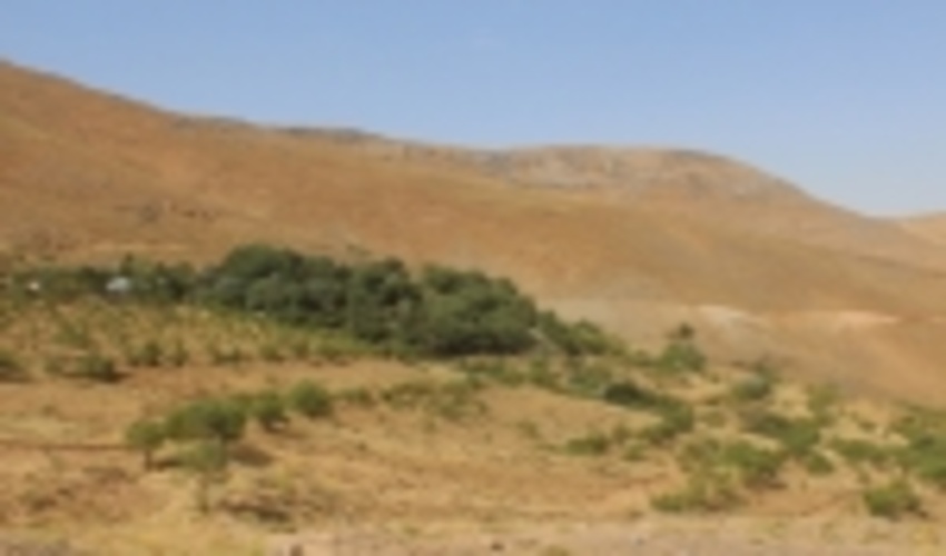 اختصاص اعتبار به اجرای طرح‌های آبخیزداری منطقه چپقلی اراک