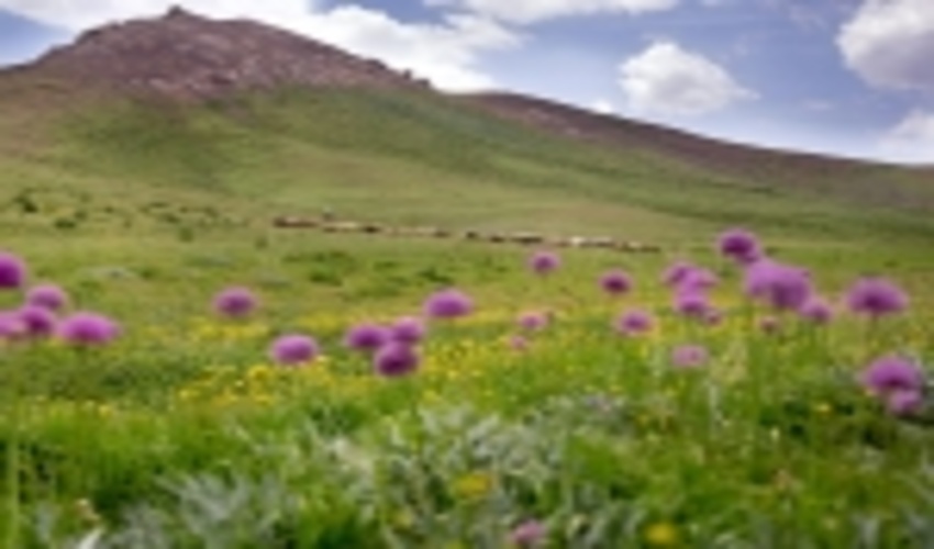 ۲۸۵ هزار هکتار عرصه‌های منابع ملی گنبدکاووس سند مالکیت دولتی دارند