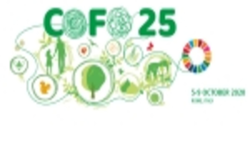  COFO 25 Officially Held in Rome