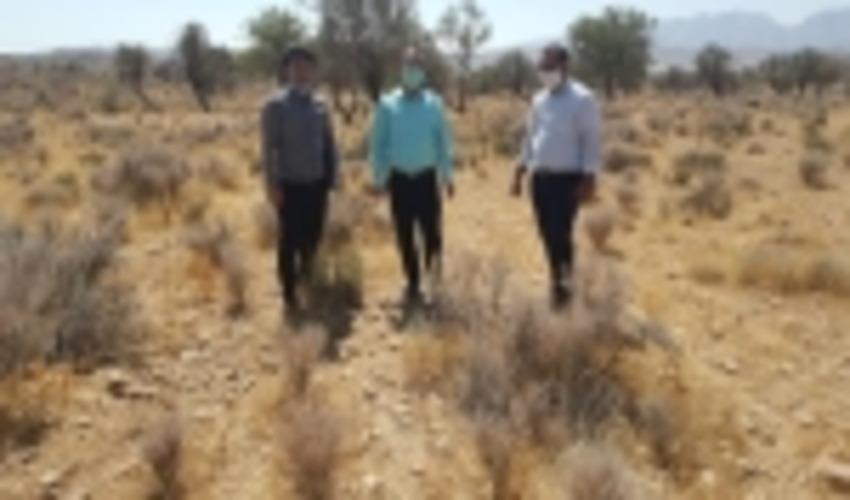 فارس/ اجرای عملیات بیولوژیک در سطح 400 هکتار در شهرستان فیروزآباد