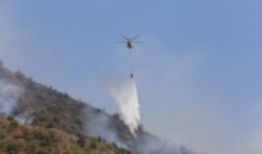 Allocation of Budget for Aerial Forest Fire Control