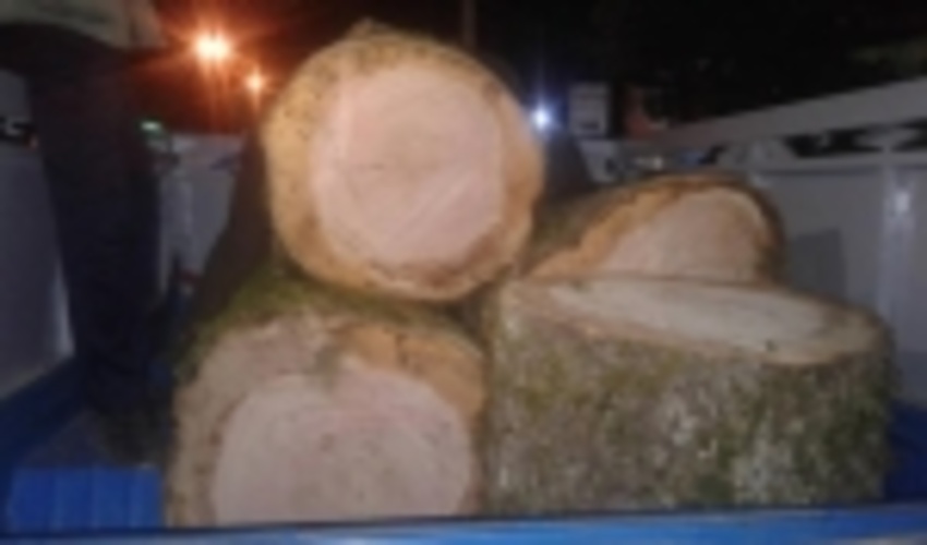 متخلف شرور پس از ماهها تلاش شبانه روزی ماموران یگان حفاظت علی آباد سرانجام به دام قانون افتاد