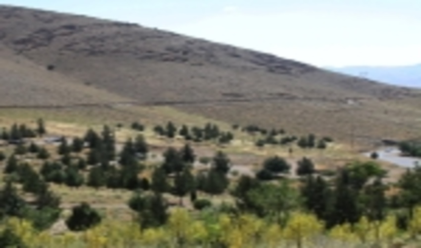 بیش از ۲۱۰۰ هکتار نهال و بوته‌کاری در حاشیه دریاچه ارومیه انجام شد