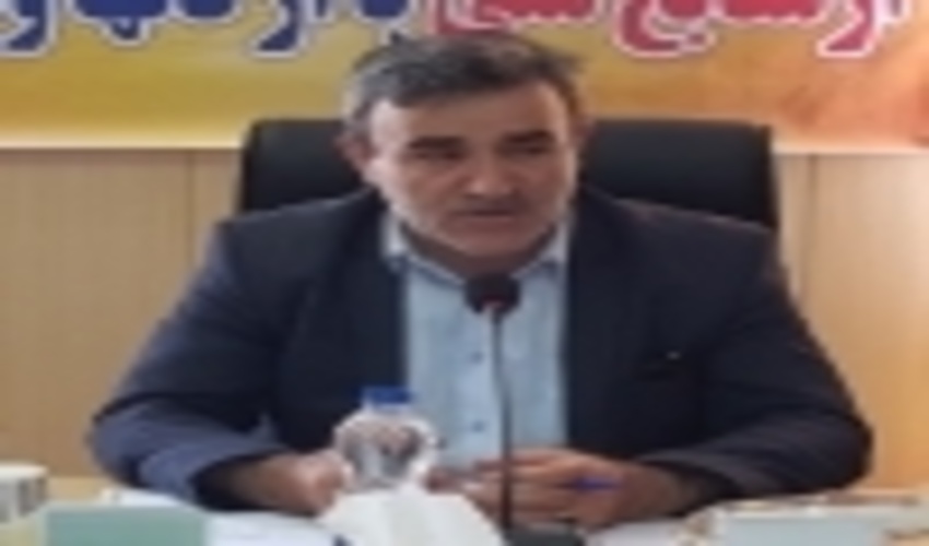 توسعه زراعت چوب در استان اردبیل شتاب می گیرد