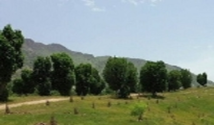 خوزستان/برگزاری دوره آموزشی اطفاء حریق و کمک های اولیه حوزه الگویی رکعت