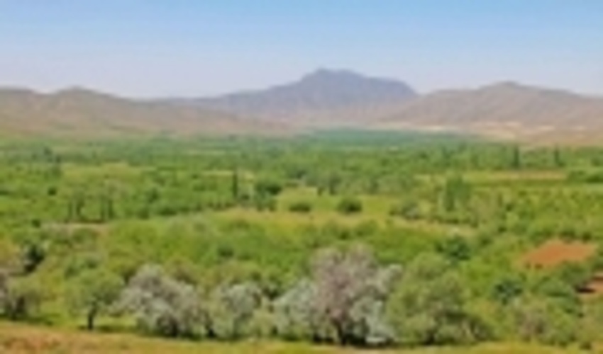 پیشرفت 80% پروژه های بیولوژیکی منابع طبیعی استان همدان