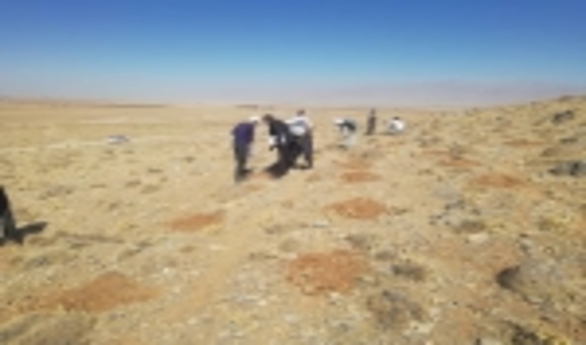 فارس/ احیاء هزار هکتار از مراتع روستای کافتر دشت نمدان اقلید 