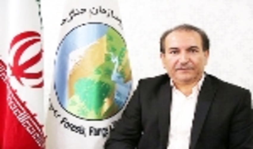 پایان کاداستر اراضی ملی خراسان رضوی در سال ۱۴۰۰ 