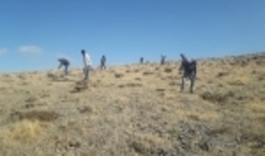 آغاز عملیات کپه‌کاری در سطح ۵۰ هکتار از مراتع شهرستان ملایر