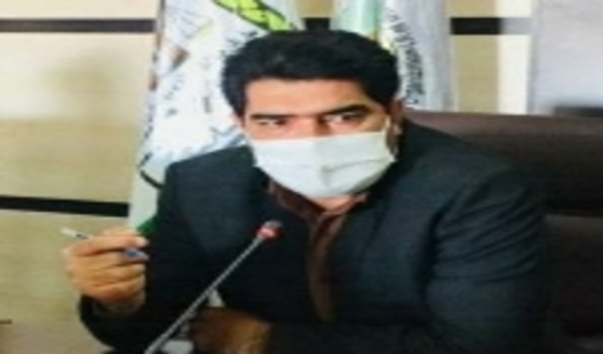 کپه کاری در 550 هکتار از مراتع جنوب کرمان