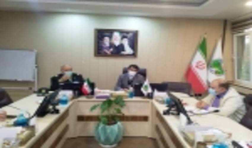 همکاری ناجا با منابع طبیعی در برخورد با متخلفین و قاچاقچیان چوب