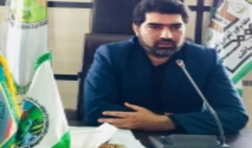 جنوب کرمان/ بذرپاشی و کپه کاری ۱۰۰۰ هکتار از مراتع حوزه آبخیز ساردوئیه