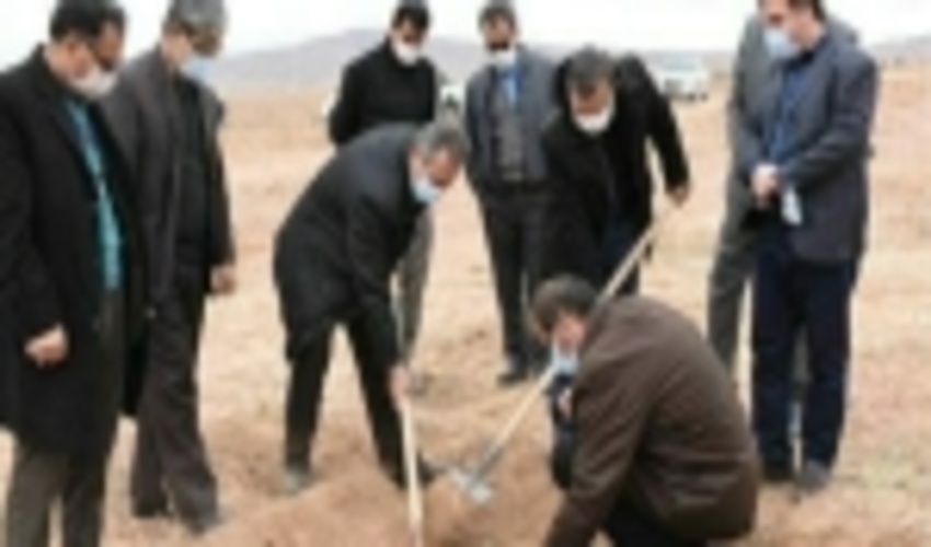 اسفراینی‌ها پای‌کار نهال‌کاری / ۵۰۰ هکتار اصله نهال در اسفراین غرس شد