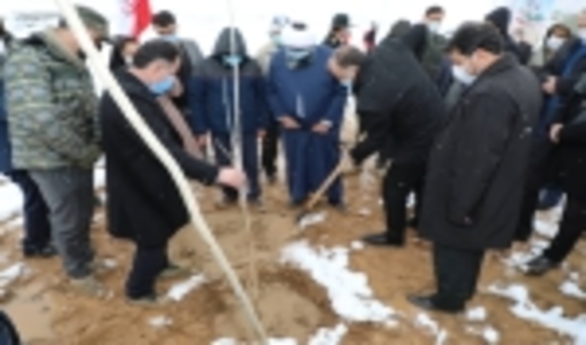 Plantation of Seedlings in 232,000 Ha 