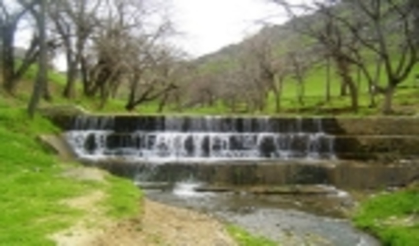 معاون سازمان جنگل‌ها و مراتع: طرح آبخیزداری در ۱.۲ میلیون هکتار مناطق سیل‌خیز امسال انجام می‌شود