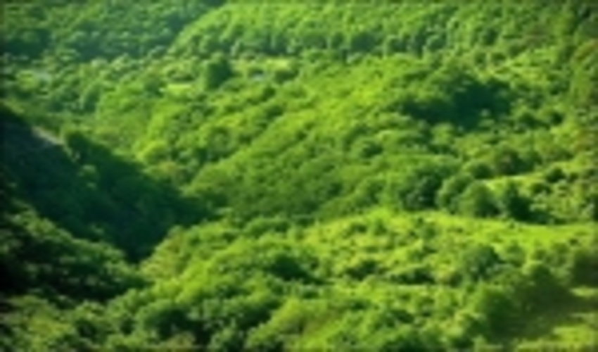 The Forests of Northern Iran save 3.6 Billion Cubic Meters of Water Annually