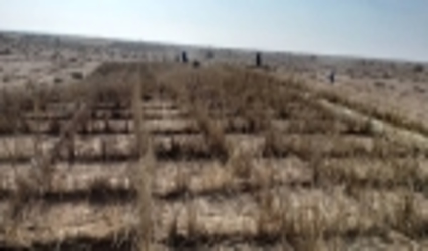 اختصاص بیش از ۲ هزار میلیارد ریال به طرح‌های بیابانزدایی