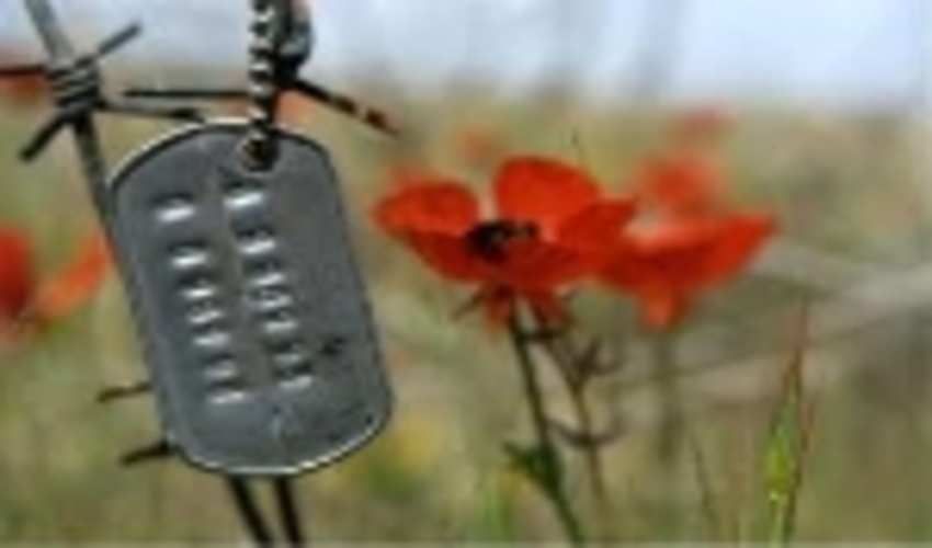 اولین نشست کمیته ایثارگران سازمان جنگل ها برگزار شد