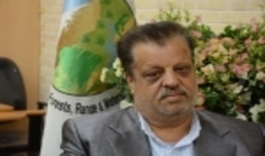 کشف ۲۶ مورد قاچاق چوب در شاهرود/ ۲۶ متخلف دستگیر شدند