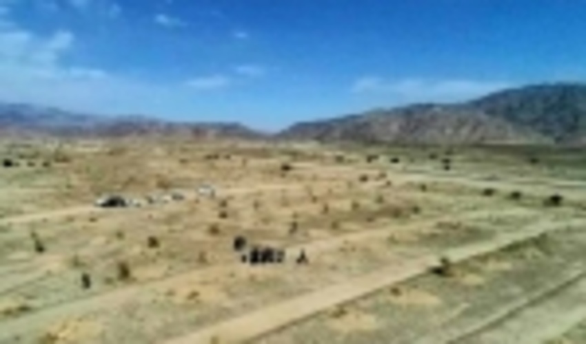 ۱۸ رویشگاه انار شیطان در جنوب کرمان شناسایی شد