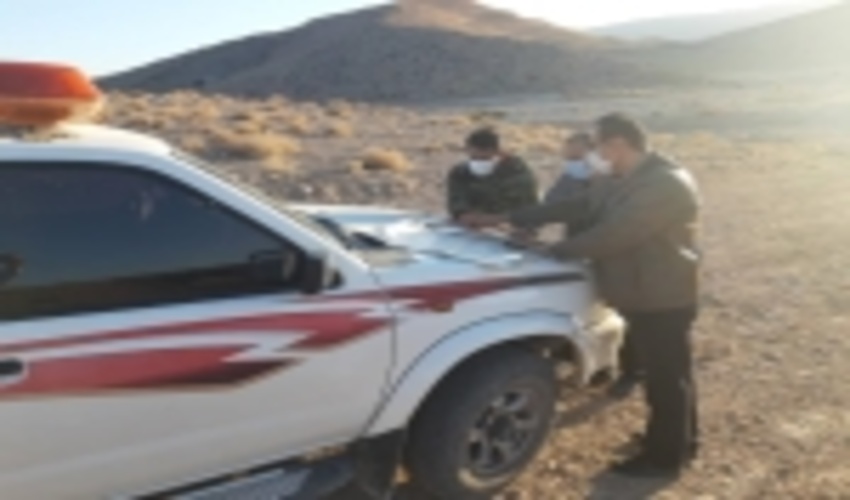 فارس/اجرای طرح کنترل دام در ۶۵ هزار هکتار از مراتع شهرستان لارستان