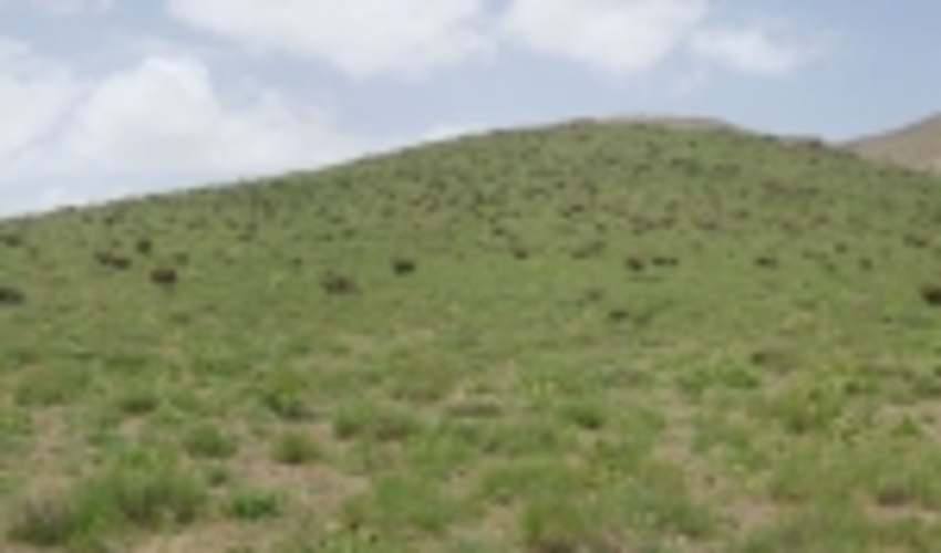 یک هزار و ۱۶ هکتار از اراضی ملی استان مرکزی از دست متصرفان خارج شد